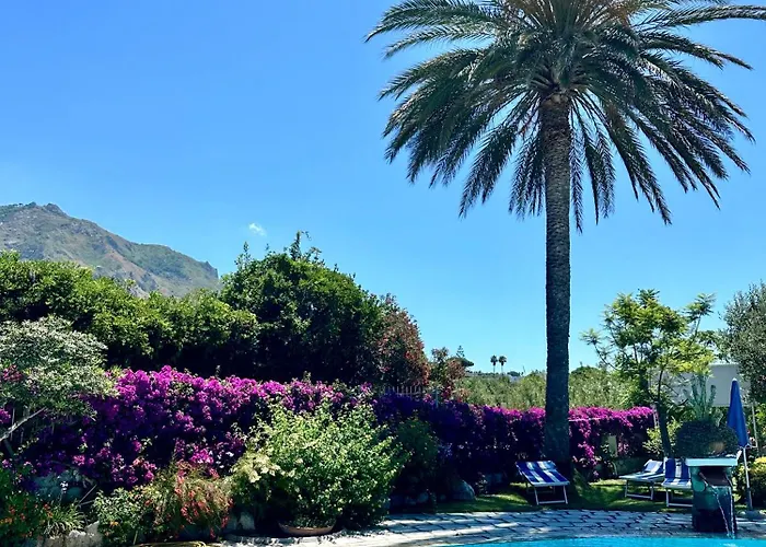 Casa Mimosa